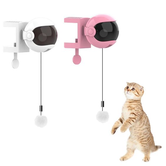 Interactive cat toys