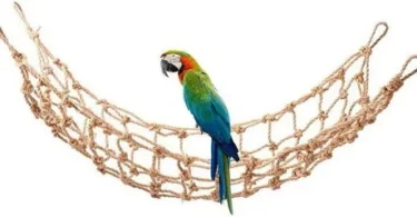 Bird Rope