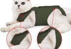 Cat suits