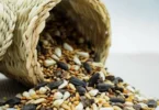 Bird food expiration refers to the date when bird feed is no longer suitable for consumption due to potential degradation in quality or nutritional value. does bird food expire