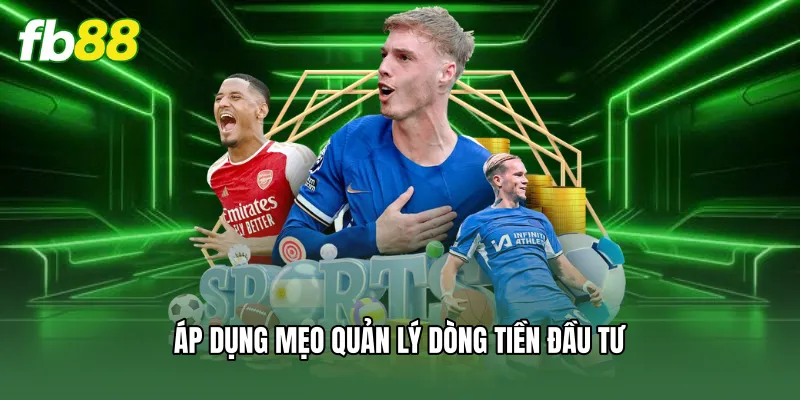 Áp dụng mẹo quản lý dòng tiền đầu tư