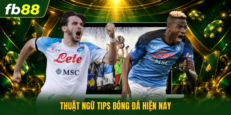 Thuật ngữ tips bóng đá hiện nay